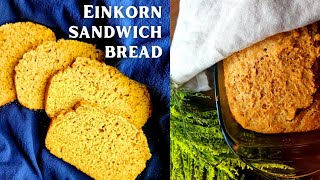 How to Make EINKORN SANDWICH BREAD 🥪 Easy Sourdough Recipe [upl. by Samantha]