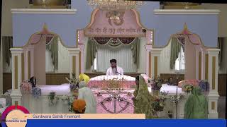 Gurdwara Sahib Fremont Evening Diwan 20240807 [upl. by Roldan487]