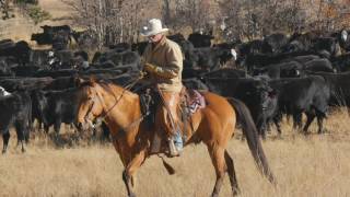 John Moore Horse amp Cattle Course USA [upl. by Robet]