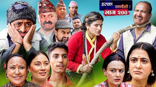 Halka Ramailo  Episode 200  15 October  2023  Balchhi Dhurbe Raju Master  Nepali Comedy [upl. by Veronika]