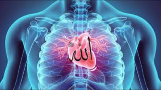 8D Zikr Allah use headphone  Zikir ALLAH  الله  Zikr AllahTurkish Zikir Allah Allah Allah 🎧 [upl. by Fischer135]