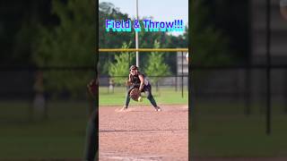 Sports Cricket Meets Softball Sensational Short Hop Fielding [upl. by Namialus]