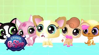 Littlest Pet Shop  Blythe amp Bunny Webisode [upl. by Dehnel]