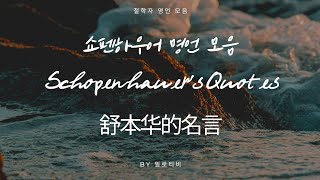 쇼펜하우어 명언 모음 Schopenhauers Quotes 舒本华的名言 [upl. by Eltsryk515]