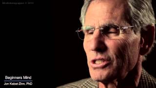 Jon KabatZinn Mindfulness 9 attitudes  beginners mind [upl. by Eelik]