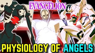 Physiology of Angels in Neon Genesis Evangelion Explored  Where They Came From How They Were Born [upl. by Ivar]