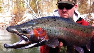 Centerpin Steelhead Fishing [upl. by Nappy]