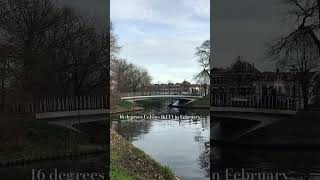 A Beautiful Springlike Day in the Netherlands shorts netherlands thenetherlands canals bikes [upl. by Atenik939]