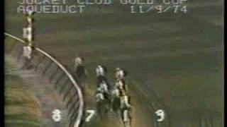 Forego  1974 Jockey Club Gold Cup [upl. by Samuelson]