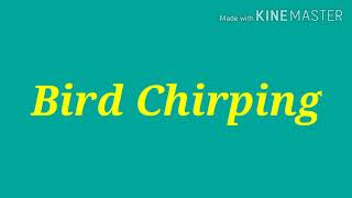 Bird Chirping sound effects no copyright [upl. by Maurene464]