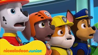 PAW Patrol  La Pat Patrouille  Les aventures de la tour de contrôle avec Chase  Nickelodeon Jr [upl. by Jolanta]