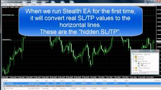 Stealth EA  Hidden Stop Loss amp Take Profit [upl. by Remas133]