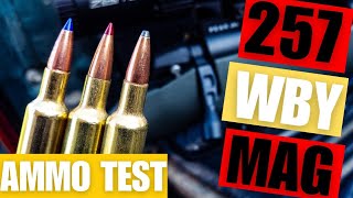 257 WBY MAG  AMMO TEST [upl. by Claudio]