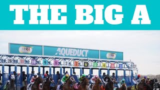 Aqueduct Racing Picks and Predictions for today FRIDAY horseracing aqueduct shorts [upl. by Aranahs806]