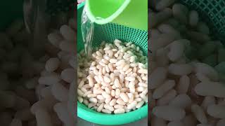 Minatamis na Beans recipe  dessert pinoy fyp beans food shorts [upl. by Casabonne]