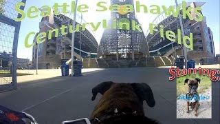 Seattle Seahawks CenturyLink Field Starring Akira With GoPro [upl. by Pollock167]