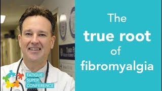 The true root of fibromyalgia  Dr David Brady [upl. by Ailel]