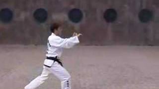 International Taekwondo Federation ITF Pattern 2 [upl. by Aynatal]