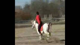 poney games open benjamin clément le logis du poney [upl. by Merta517]