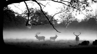 Battle of the Somme Bagpipes [upl. by Trip]