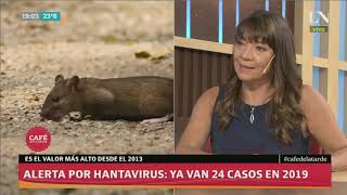 ¿Qué es el Hantavirus el brote de Epuyén y cuáles son sus síntomas  Café de la Tarde [upl. by Haland]