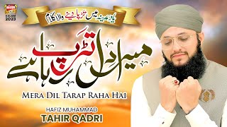 Hafiz Tahir Qadri  Mera Dil Tarap Raha Hai  New Heart Touching Naat 2023  Mujhe Le Chalo Madina [upl. by Santos587]