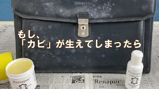 もし、「カビ」が生えてしまったら ラナパー公式 [upl. by Dorotea]