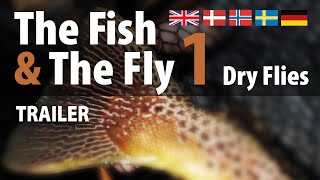 The Fish amp The Fly 1 Dry Flies • Trailer [upl. by Esinned]