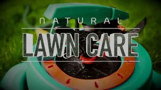 Natural Lawn Care Smart Watering [upl. by Caye414]