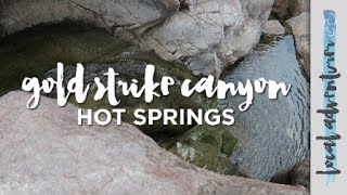 Gold Strike Canyon Hot Springs in Las Vegas  Local Adventurer [upl. by Drud]