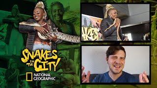 Hissing off Deadly Snakes  Snakes In The City  National Geographic [upl. by Arriat]