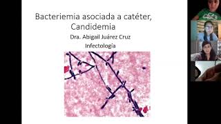 BACTERIEMIA ASOCIADA A CATÉTER CANDIDEMIA [upl. by Inglebert]