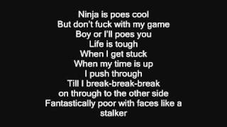 Die Antwoord  Enter The Ninja Lyrics on Screen [upl. by Alanson]