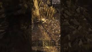 Krag wiping out a Duo in Hunt Showdown HuntShowdown PvP Solo Headshots [upl. by Eniak449]