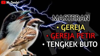 MASTERAN CENDET TEMBAKAN  GEREJA GEREJA PETIR TENGKEK BUTO [upl. by Anehta]