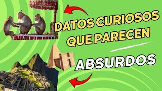 DATOS CURIOSOS DEL MUNDO QUE PARECEN ABSURDOS🤯by CURIOSIFY🔎 [upl. by Enella844]