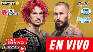 En Vivo Chito Vera vs Sean OMalley Pelea Completa OMalley vs Marlon Vera UFC 299 hoy [upl. by Weikert]