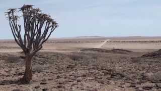 Namib Naukluft National Park  Namibië [upl. by Berman]