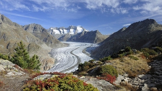 Aletsch Arena – Jodeln am grössten Gletscher der Alpen [upl. by Yentuoc]