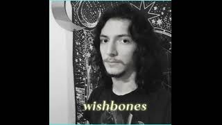 wishbones [upl. by Ilellan]