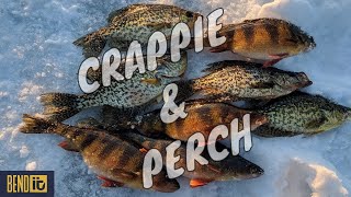 Bellamy Reservoir Crappie and Perch Ice Fishing [upl. by Stelmach]