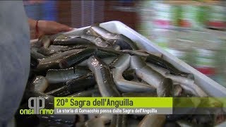 La storia di Comacchio passa dalla Sagra dellAnguilla [upl. by Ylrehs773]