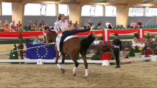 FEI European Vaulting Championships 2013  Male Senior Compulsory 2nd Place  Stefan Csandl [upl. by Lampert]