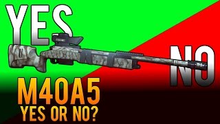 Yes or No  M40A5 BoltAction Rifle Review  Battlefield 4 BF4 [upl. by Nemzaj613]