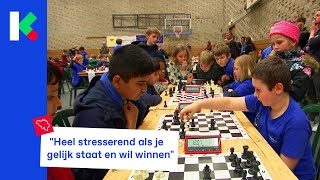 350 jongens en meisjes op het Vlaams Kampioenschap Schoolschaken [upl. by Aleahs]