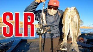 SAN LUIS RESERVOIR TOPWATER LURESSWIMBAITS AND GLIDES STRIPED BASS FISHING [upl. by Dianthe]