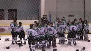 Novi Wild State Championship Final  Overtime Goal vs Northville [upl. by Sama558]