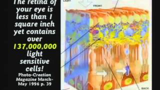 Debate 14  Dr Kent Hovind Vs Biology Professor Dr Matthew Rainbow [upl. by Gensler]