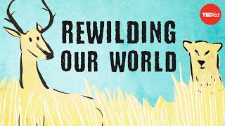 From the top of the food chain down Rewilding our world  George Monbiot [upl. by Eener]