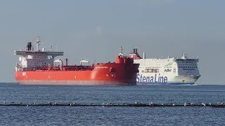 Shipspotting Rotterdam 09 2023 [upl. by Pearman]